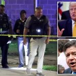 Trump says he can fix Chicago’s crime epidemic ‘fast and permanently’ after 39 shot over weekend