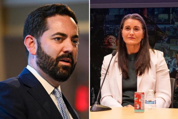 US Army veteran wins Dem primary to face GOP NY Rep. Mike Lawler in key toss-up race