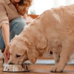 Umios enters SE Asia pet-food market