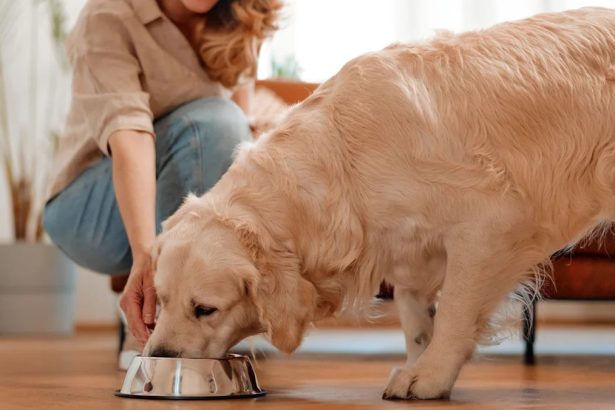 Umios enters SE Asia pet-food market