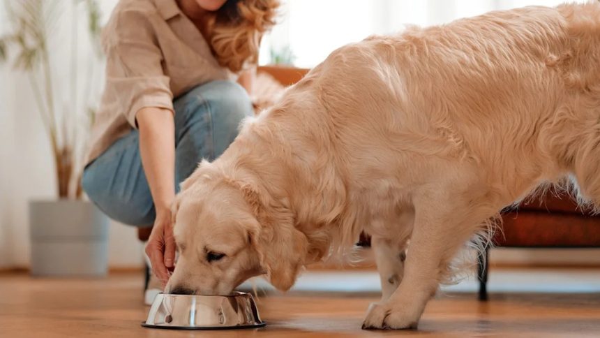 Umios enters SE Asia pet-food market