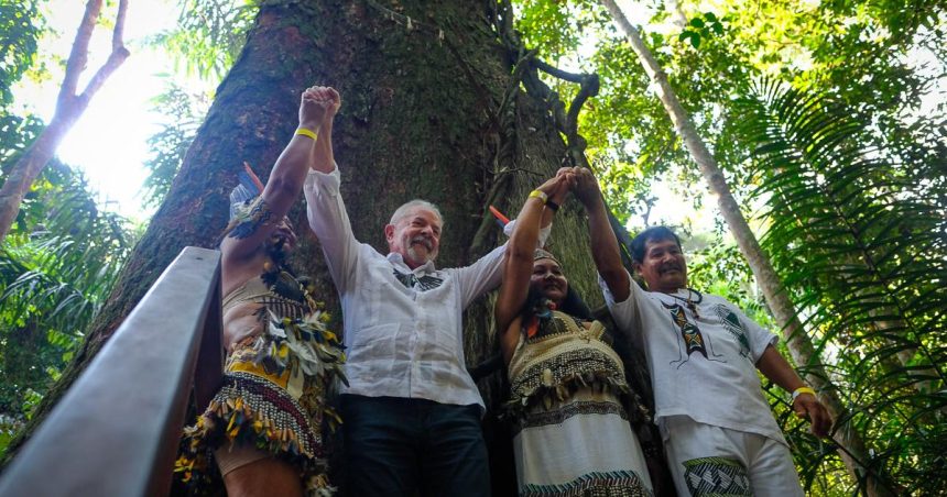 War in the Amazon