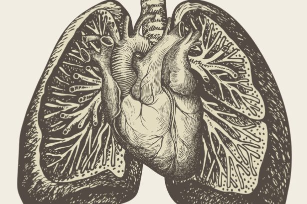 What is pulmonary hypertension, and could GLP-1s help?