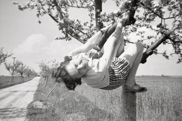 ‘Women in Trees’ Celebrates a Quirky Collection of Anonymous Snapshots — Colossal