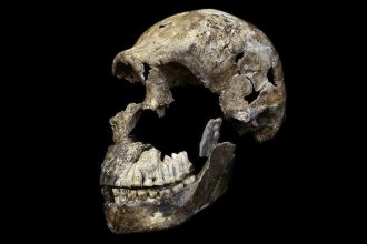 World’s Only Known Homo Naledi Burial Site May Be Entirely Female : ScienceAlert