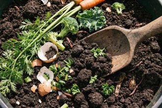 Yard Waste: Composting’s Success Story With a Methane Asterisk