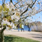 Your local park is bringing in the green (and by that, we mean money)