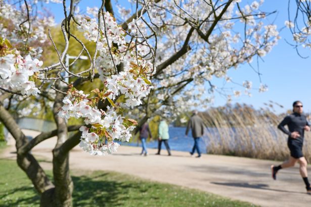 Your local park is bringing in the green (and by that, we mean money)