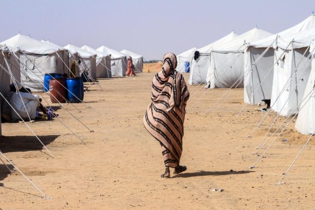 ‘Every day it’s more barriers’: how the US is shutting out climate refugees