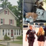 155 animals and counting rescued from Long Island’s urine-infested house of horrors: ‘We’ll get them all’