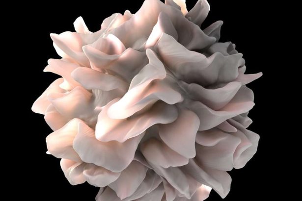 A Common Gym Supplement May Give Cancer-Fighting Cells an Energy Boost : ScienceAlert