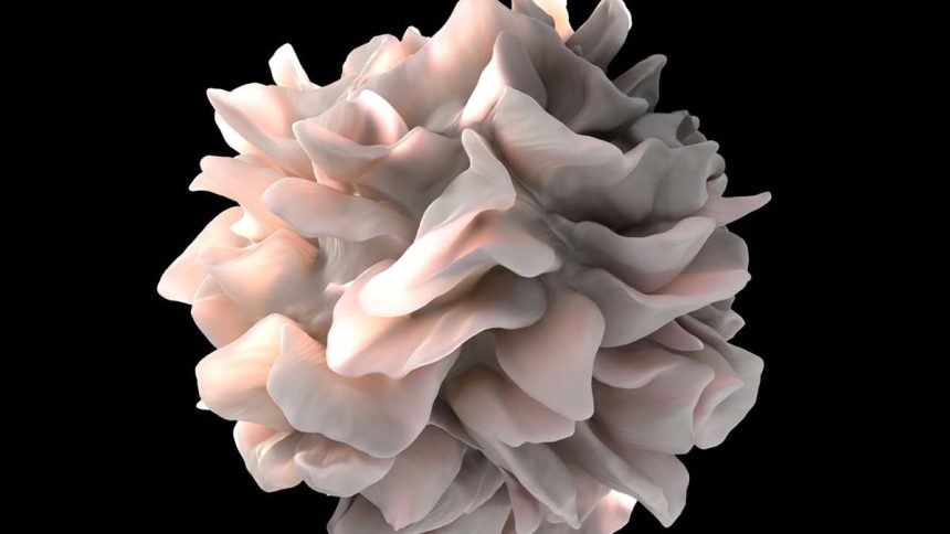 A Common Gym Supplement May Give Cancer-Fighting Cells an Energy Boost : ScienceAlert