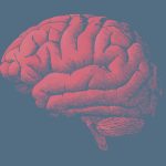 AAIC 2026: Researchers focus on tau, target blood-brain barrier
