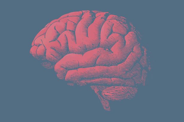 AAIC 2026: Researchers focus on tau, target blood-brain barrier