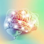 Accidental mix-ups of sounds reveal how the brain produces speech