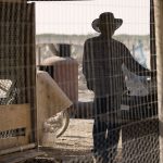 Ask a Scientist: How is Rural California Anticipating and Building Resilience to Climate Change?