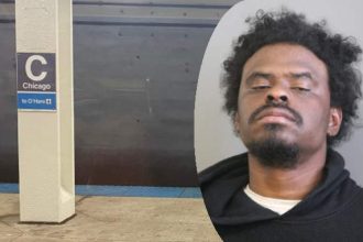 Blue Line sex attacker found guilty but mentally ill, gets 9 years