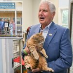 Bruce Blakeman calls for greater animal protections after 155 neglected cats, dogs rescued from LI hoarder’s house of horrors