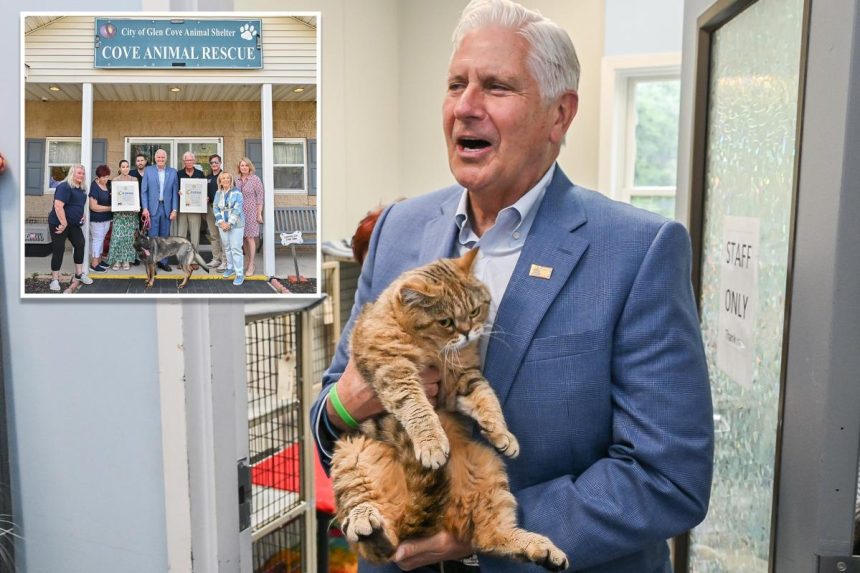 Bruce Blakeman calls for greater animal protections after 155 neglected cats, dogs rescued from LI hoarder’s house of horrors