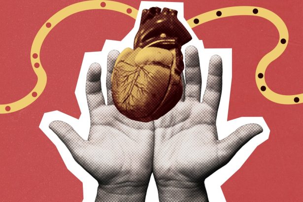Could ‘Death by Organ Donation’ ease shortage of organs for transplant? : NPR