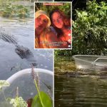 Dim-witted influencers pet alligators days after deadly attack