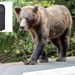 Elderly woman unleashes drive-by bear spray attack in Trader’s Joe’s parking lot