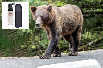 Elderly woman unleashes drive-by bear spray attack in Trader’s Joe’s parking lot