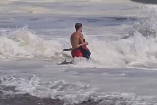Eric Trump Calls For 16-Year-Old Lifeguard Who Rescued Boy From Violent California Waves to be Given Highest Civilian Honor (VIDEO)