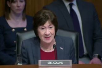 Every Maine Democrat Tested Against Susan Collins Could Beat Her