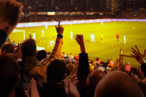Freddy the World Cup Tourist and Tocqueville’s Hopes for America