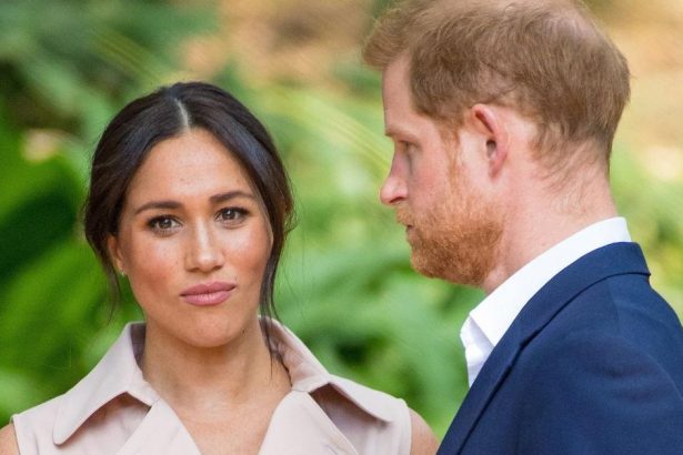 Harry and Meghan ‘Subjected to Body Search’ Before King Charles Reunion