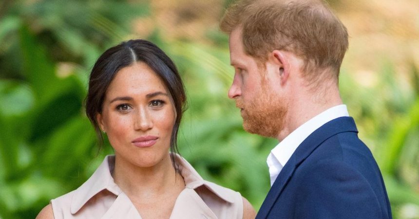 Harry and Meghan ‘Subjected to Body Search’ Before King Charles Reunion