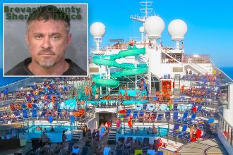 ‘Heavily intoxicated’ cruise passenger accused of beating up kids playing tag
