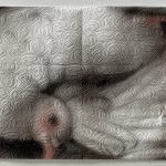 Helena Minginowicz Transforms Humble Paper Towel into Ethereal Paintings — Colossal