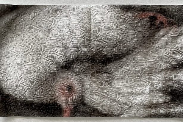 Helena Minginowicz Transforms Humble Paper Towel into Ethereal Paintings — Colossal