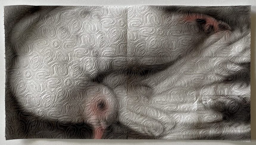 Helena Minginowicz Transforms Humble Paper Towel into Ethereal Paintings — Colossal