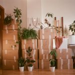 Here’s How Precious Objects Are Handled During The Home Moving Process