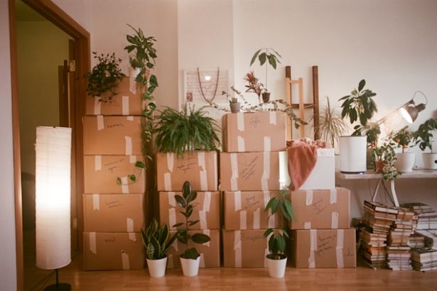 Here’s How Precious Objects Are Handled During The Home Moving Process