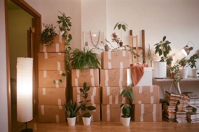 Here’s How Precious Objects Are Handled During The Home Moving Process