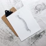 How Chiropractic Care Fits Into A Healthy Lifestyle