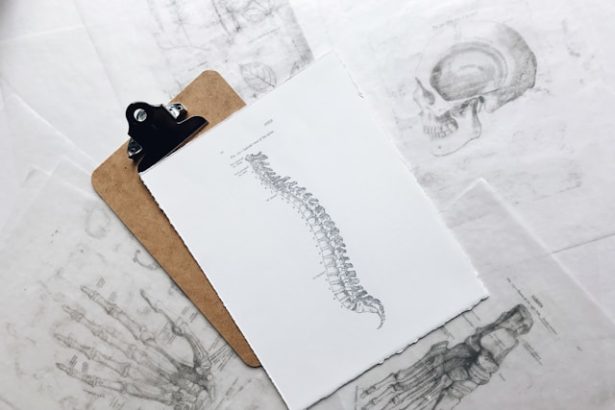 How Chiropractic Care Fits Into A Healthy Lifestyle