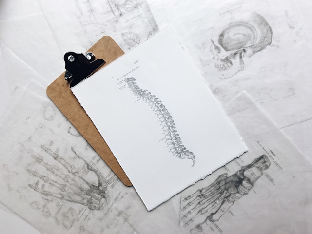 How Chiropractic Care Fits Into A Healthy Lifestyle