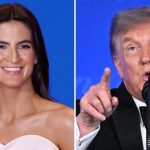 Kaitlan Collins Seemingly Responds to Donald Trump Insult