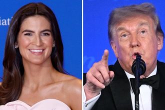 Kaitlan Collins Seemingly Responds to Donald Trump Insult