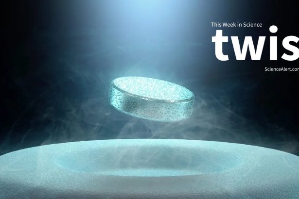 Knee Pain Relief, a Superconductor Record, And More! : ScienceAlert
