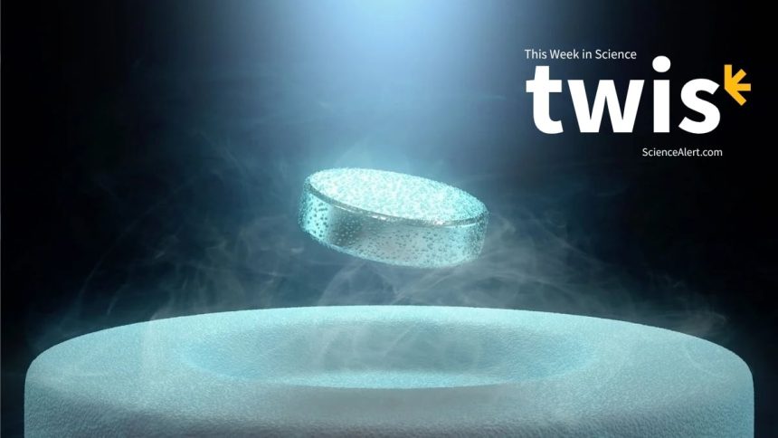 Knee Pain Relief, a Superconductor Record, And More! : ScienceAlert