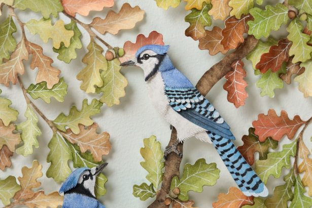 Lifelike Birds Emerge from Foliage in Painted Paper Reliefs by The Paper Ark — Colossal