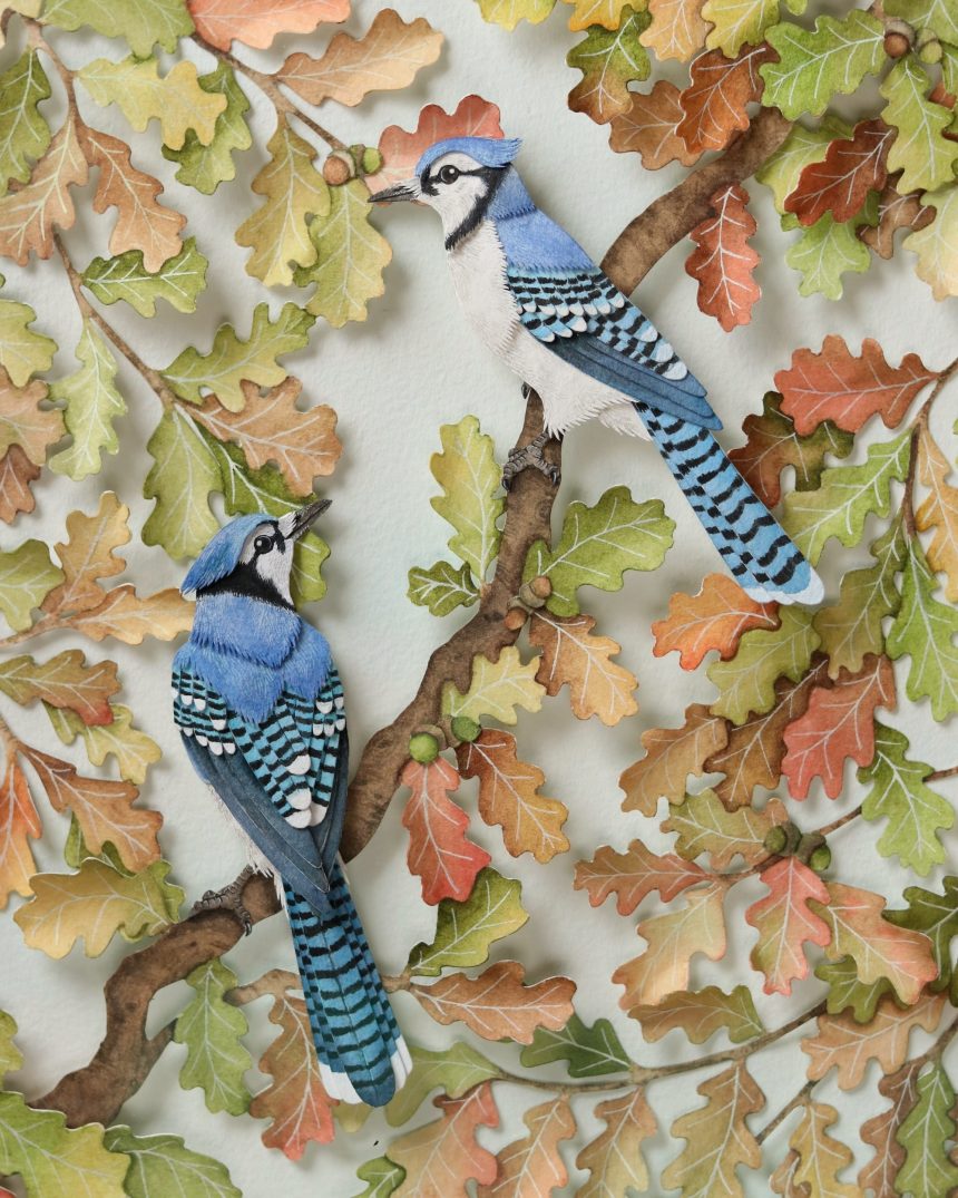 Lifelike Birds Emerge from Foliage in Painted Paper Reliefs by The Paper Ark — Colossal
