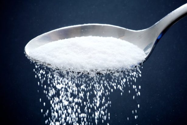 Low-Sugar Diet Early in Life Linked to 46% Lower Alzheimer’s Risk : ScienceAlert