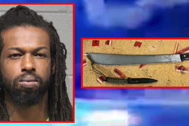 Man arrested with machete on CTA twice in 3 days